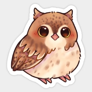 Eastern Screech Owl Sticker